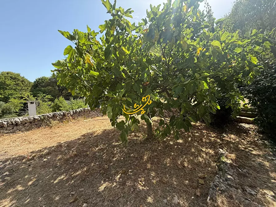 Immagine 31 di Villa in vendita  in C.da Laureto a Fasano