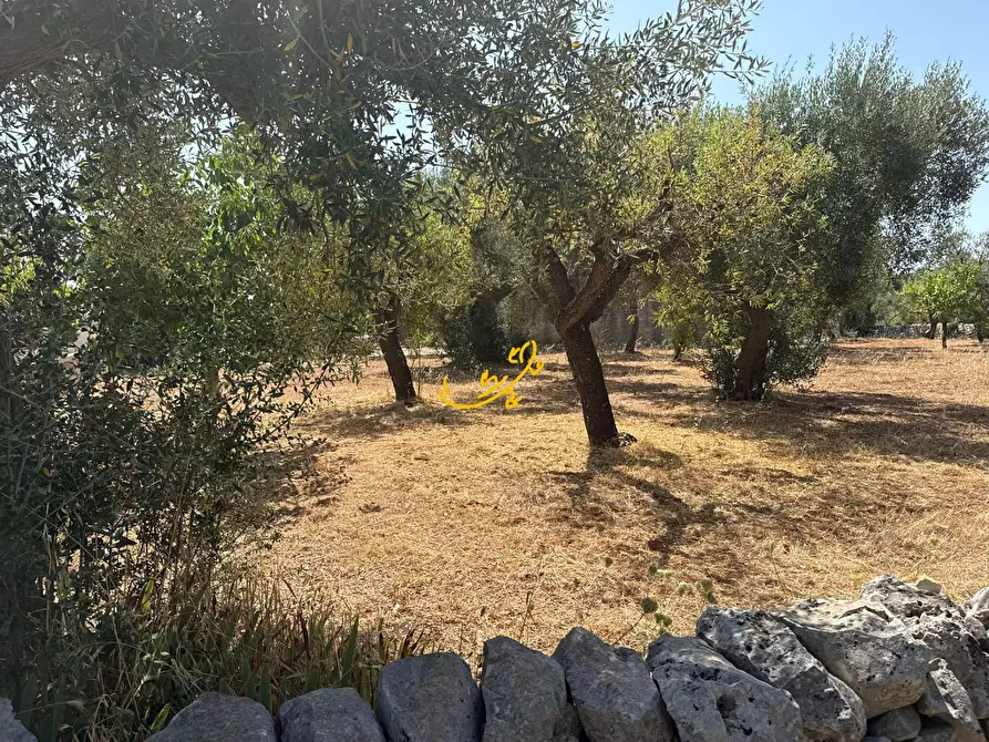 Immagine 7 di Rustico / casale in vendita  in C.da Balice a Monopoli