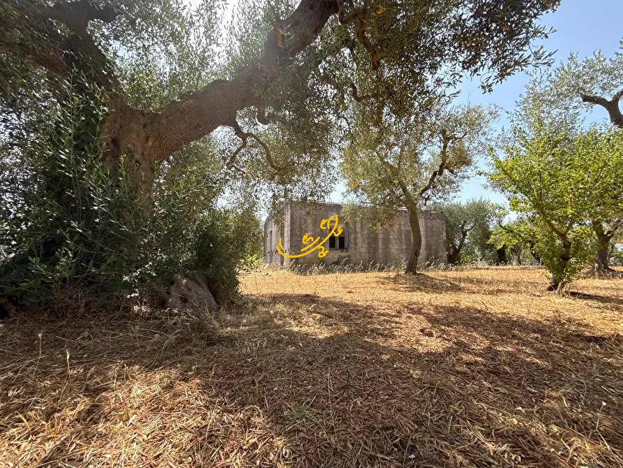 Immagine 2 di Rustico / casale in vendita  in C.da Balice a Monopoli