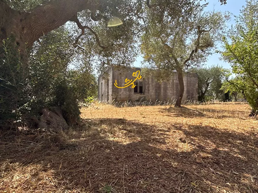 Immagine 1 di Rustico / casale in vendita  in C.da Balice a Monopoli