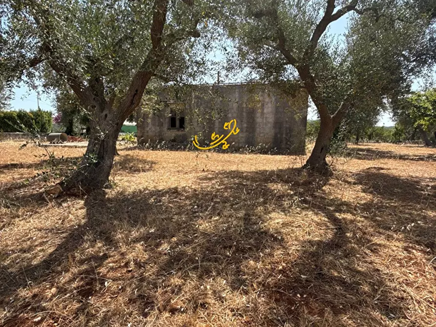 Immagine 3 di Rustico / casale in vendita  in C.da Balice a Monopoli