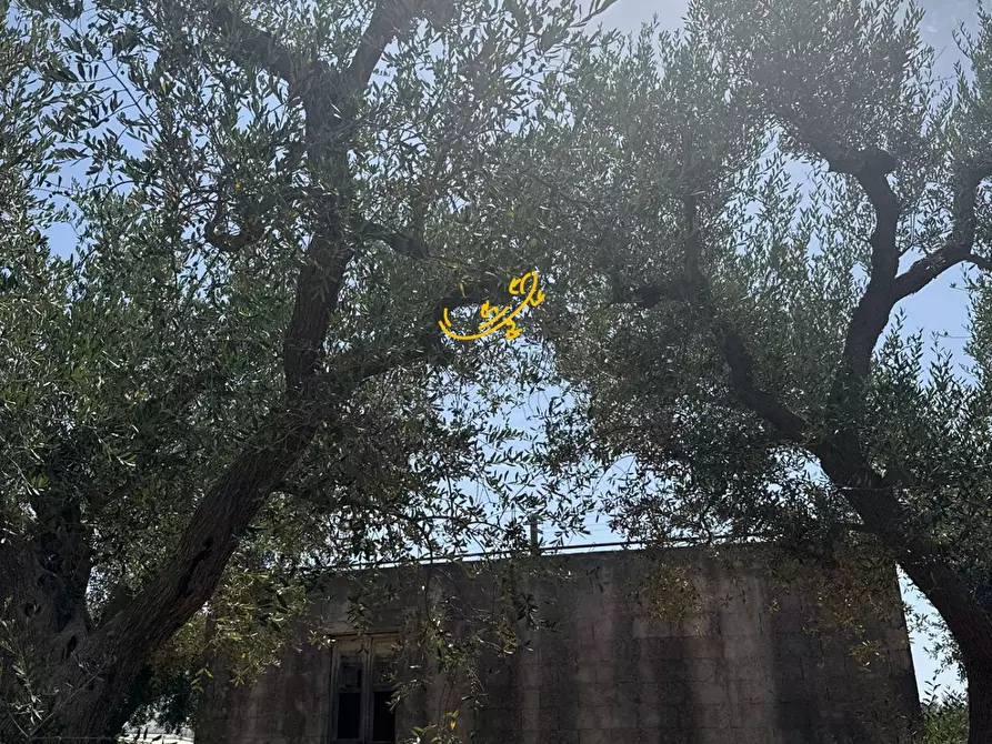 Immagine 8 di Rustico / casale in vendita  in C.da Balice a Monopoli