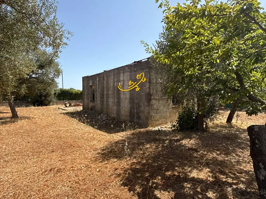 Immagine 5 di Rustico / casale in vendita  in C.da Balice a Monopoli