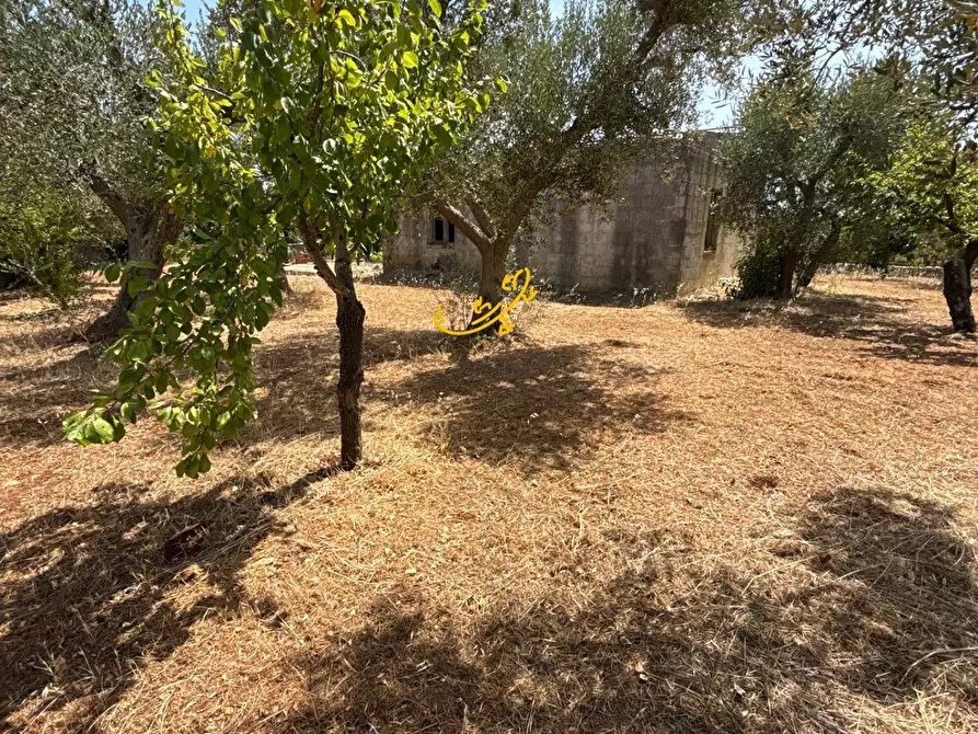 Immagine 6 di Rustico / casale in vendita  in C.da Balice a Monopoli