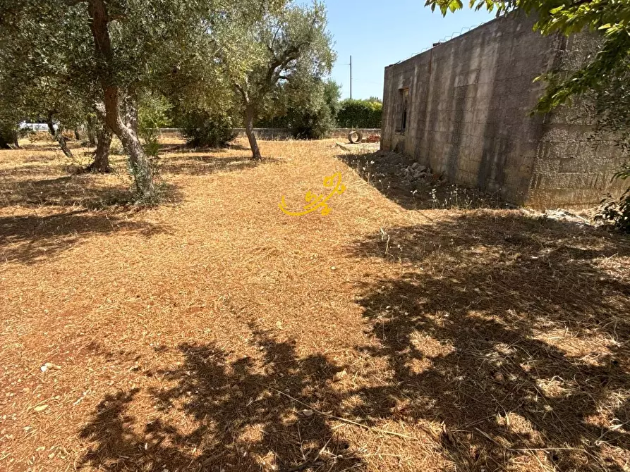 Immagine 9 di Rustico / casale in vendita  in C.da Balice a Monopoli