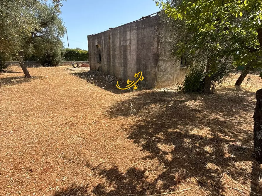 Immagine 10 di Rustico / casale in vendita  in C.da Balice a Monopoli