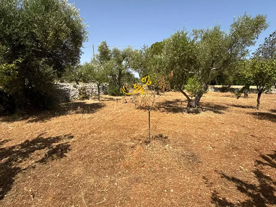 Immagine 11 di Rustico / casale in vendita  in C.da Balice a Monopoli