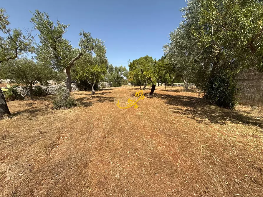 Immagine 12 di Rustico / casale in vendita  in C.da Balice a Monopoli