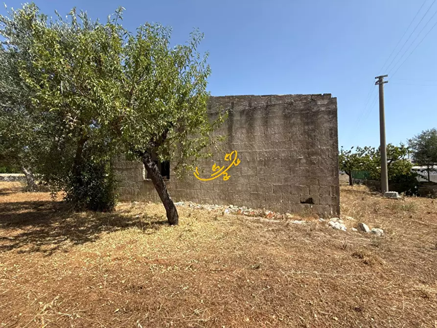 Immagine 13 di Rustico / casale in vendita  in C.da Balice a Monopoli