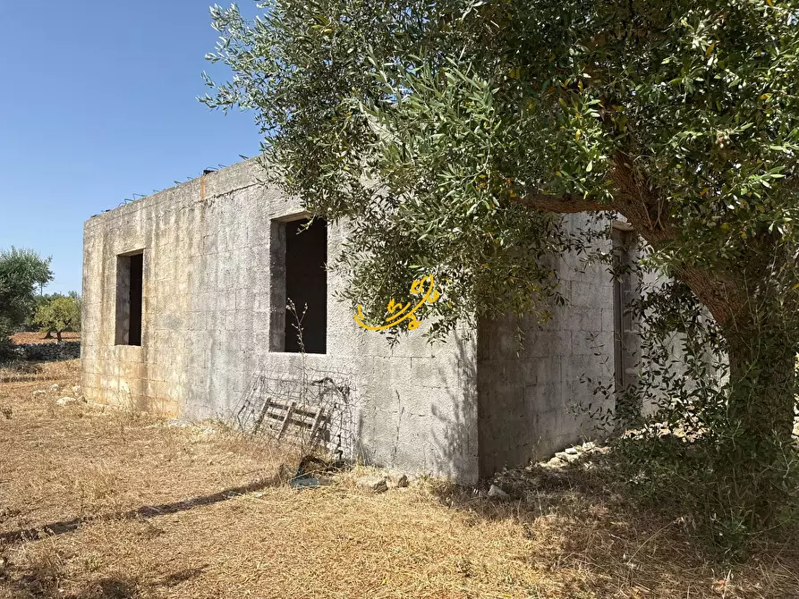 Immagine 15 di Rustico / casale in vendita  in C.da Balice a Monopoli