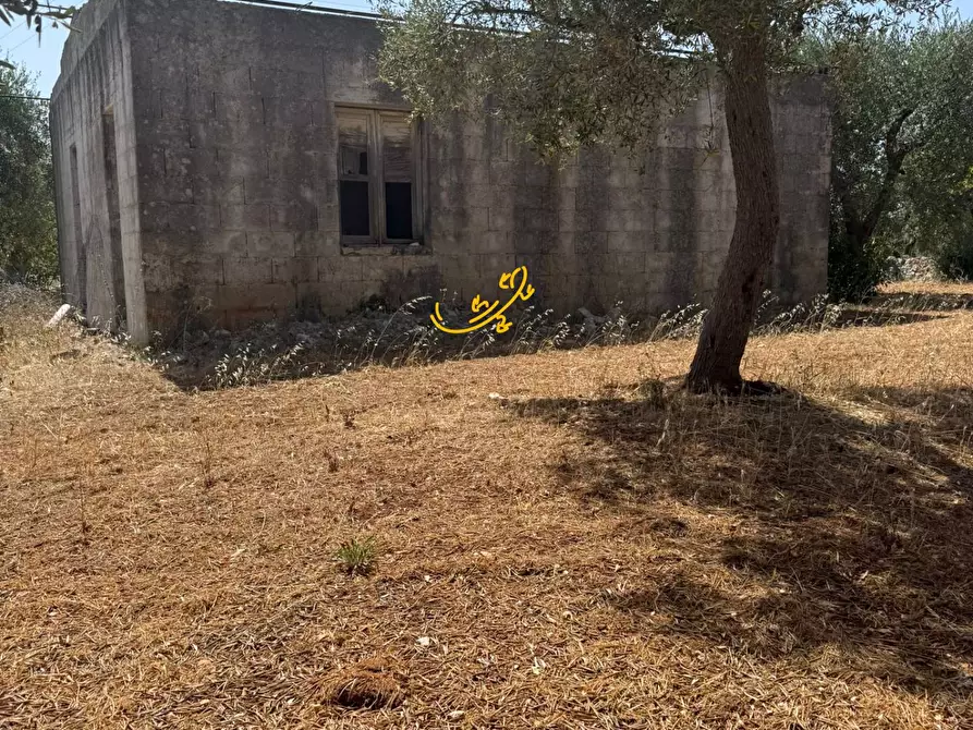 Immagine 17 di Rustico / casale in vendita  in C.da Balice a Monopoli