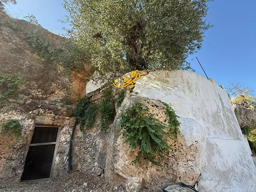 Immagine 6 di Baita in vendita  in C.da L'Assunta a Monopoli