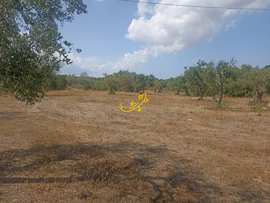 Immagine 9 di Baita in vendita  in Contrada Ulmo a Ceglie Messapico