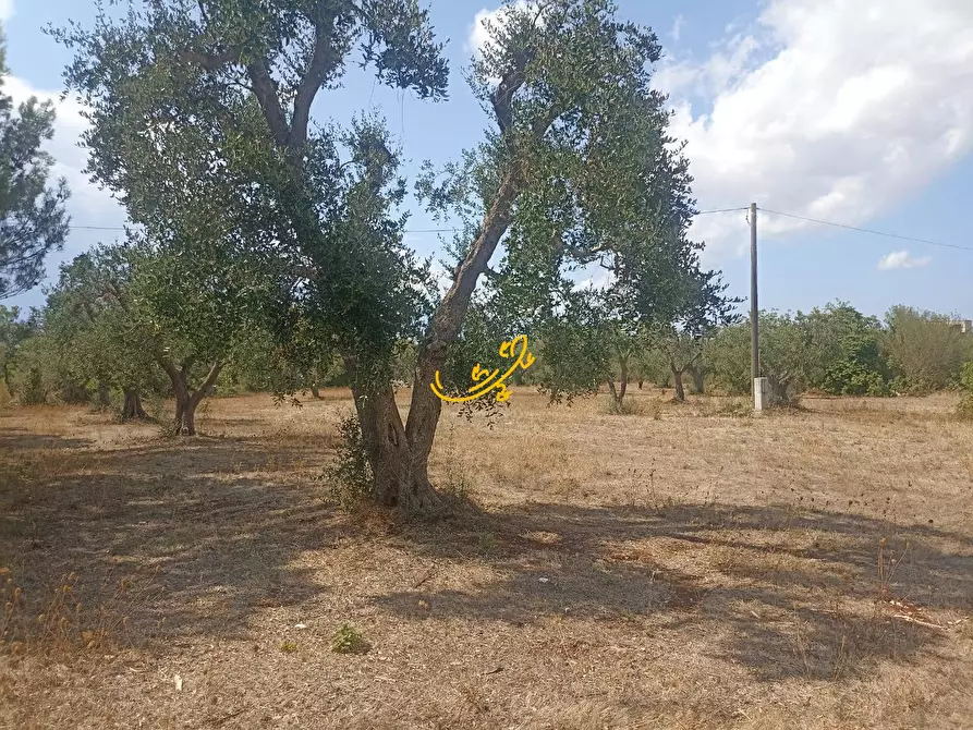 Immagine 14 di Baita in vendita  in Contrada Ulmo a Ceglie Messapico