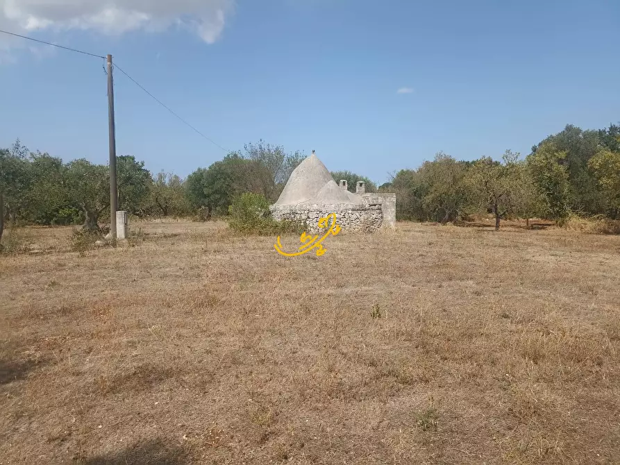 Immagine 15 di Baita in vendita  in Contrada Ulmo a Ceglie Messapico
