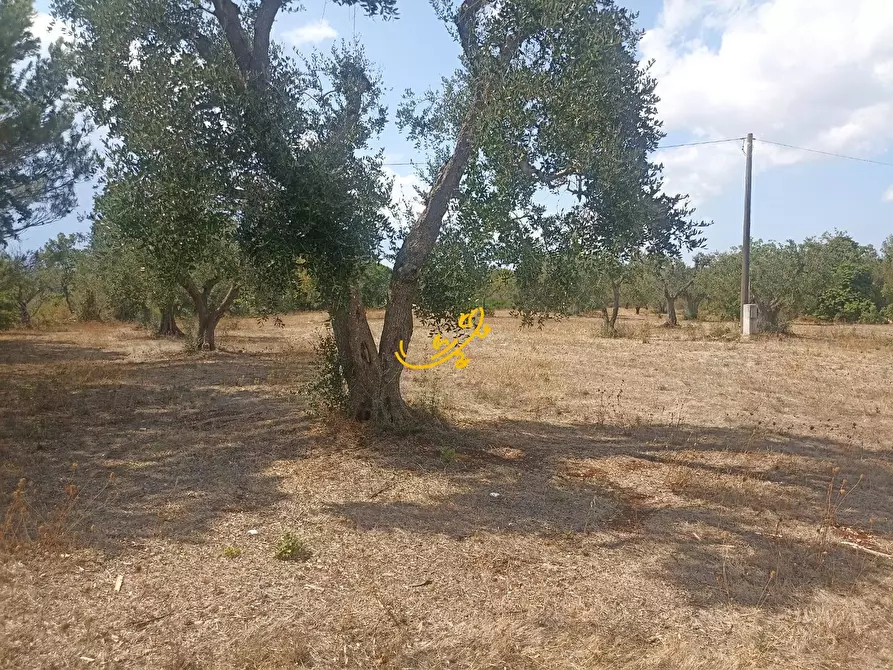 Immagine 16 di Baita in vendita  in Contrada Ulmo a Ceglie Messapico