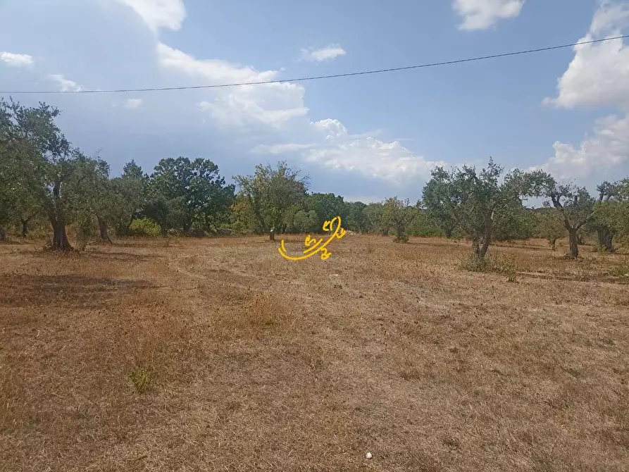 Immagine 20 di Baita in vendita  in Contrada Ulmo a Ceglie Messapico