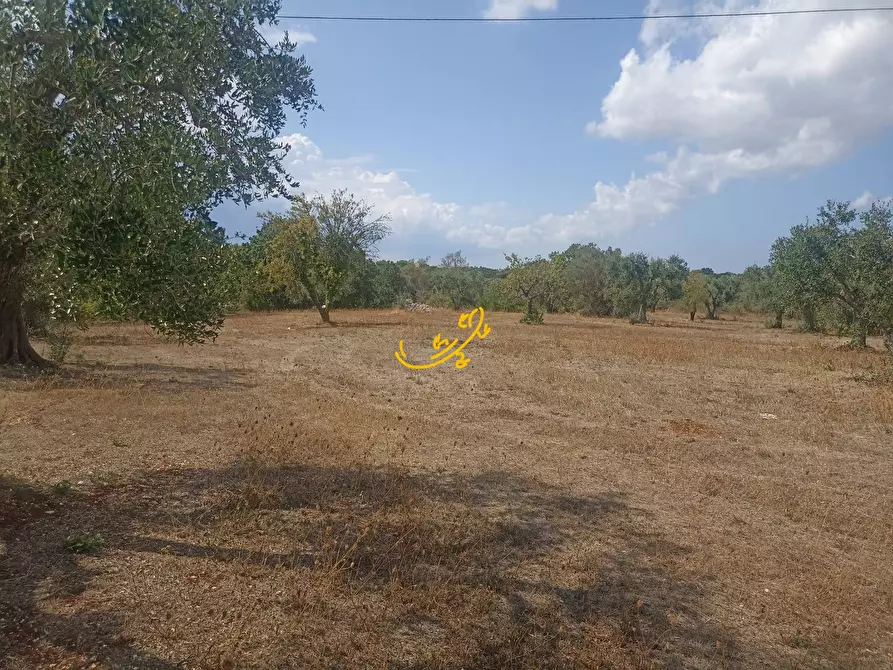 Immagine 21 di Baita in vendita  in Contrada Ulmo a Ceglie Messapico