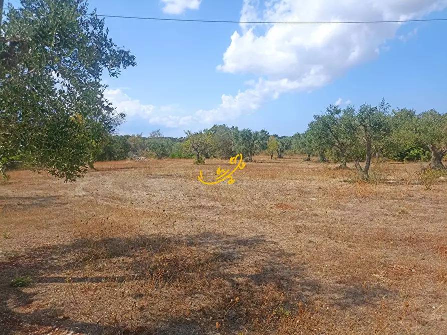 Immagine 22 di Baita in vendita  in Contrada Ulmo a Ceglie Messapico