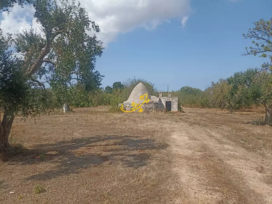 Immagine 24 di Baita in vendita  in Contrada Ulmo a Ceglie Messapico