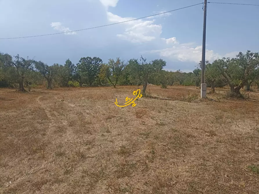 Immagine 26 di Baita in vendita  in Contrada Ulmo a Ceglie Messapico