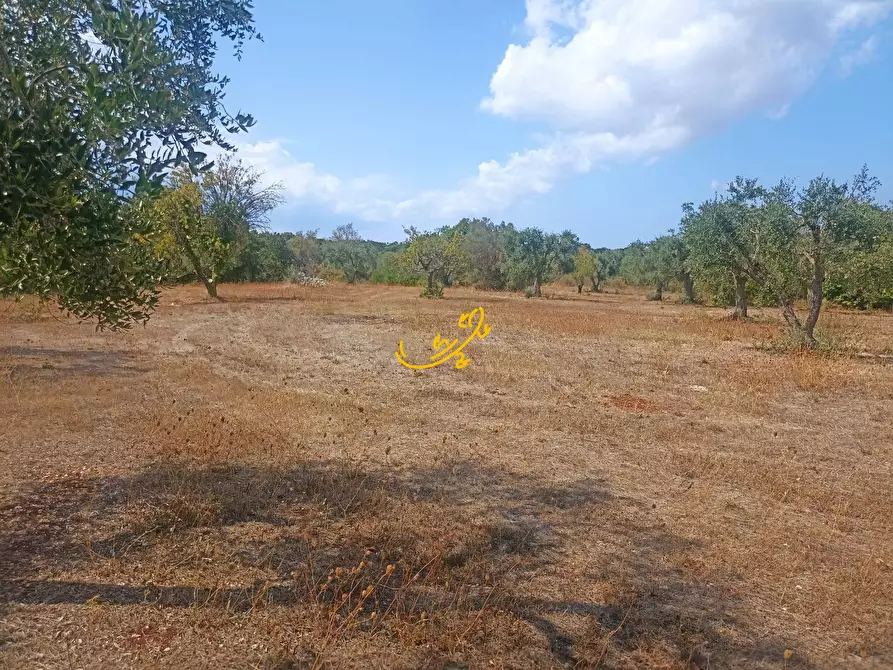 Immagine 28 di Baita in vendita  in Contrada Ulmo a Ceglie Messapico