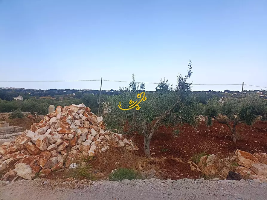 Immagine 4 di Rustico / casale in vendita  in Contrada Galante a Ostuni