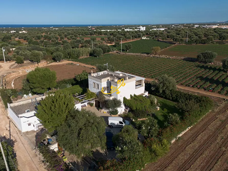 Immagine 8 di Rustico / casale in vendita  in Contrada Coccaro a Fasano