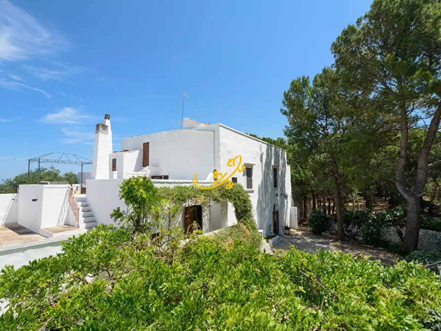 Immagine 2 di Rustico / casale in vendita  in C.da Santo Stefano a Conversano