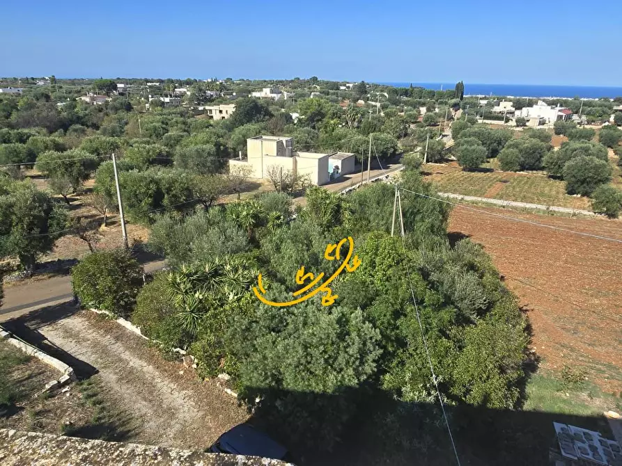 Immagine 3 di Rustico / casale in vendita  in CONTRADA CRISTO RE a Monopoli