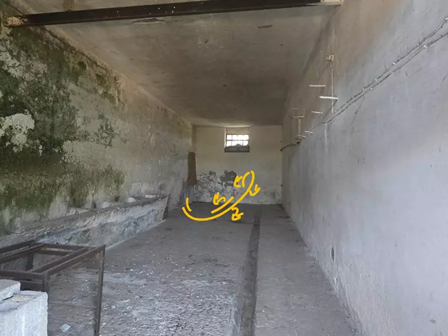 Immagine 16 di Rustico / casale in vendita  in CONTRADA CRISTO RE a Monopoli