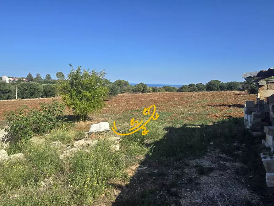Immagine 18 di Rustico / casale in vendita  in CONTRADA CRISTO RE a Monopoli