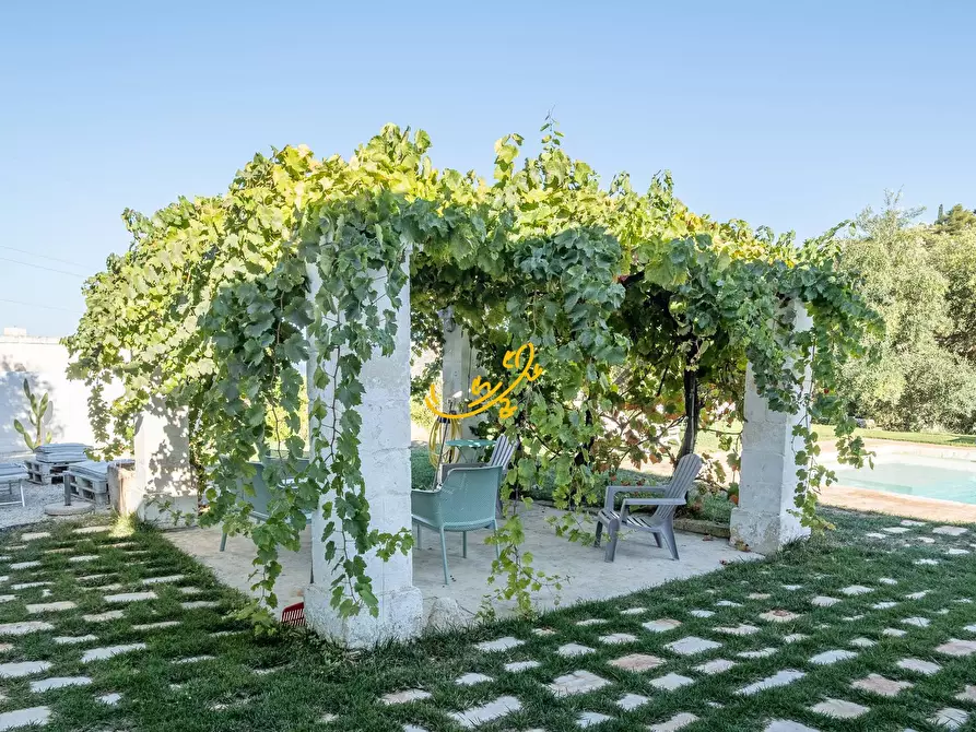 Immagine 4 di Rustico / casale in vendita  in Contrada Monte Pizzuto a Fasano