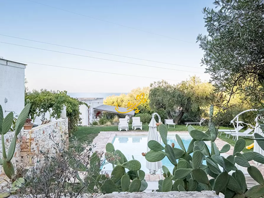 Immagine 21 di Rustico / casale in vendita  in Contrada Monte Pizzuto a Fasano