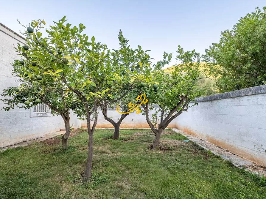 Immagine 25 di Rustico / casale in vendita  in Contrada Monte Pizzuto a Fasano