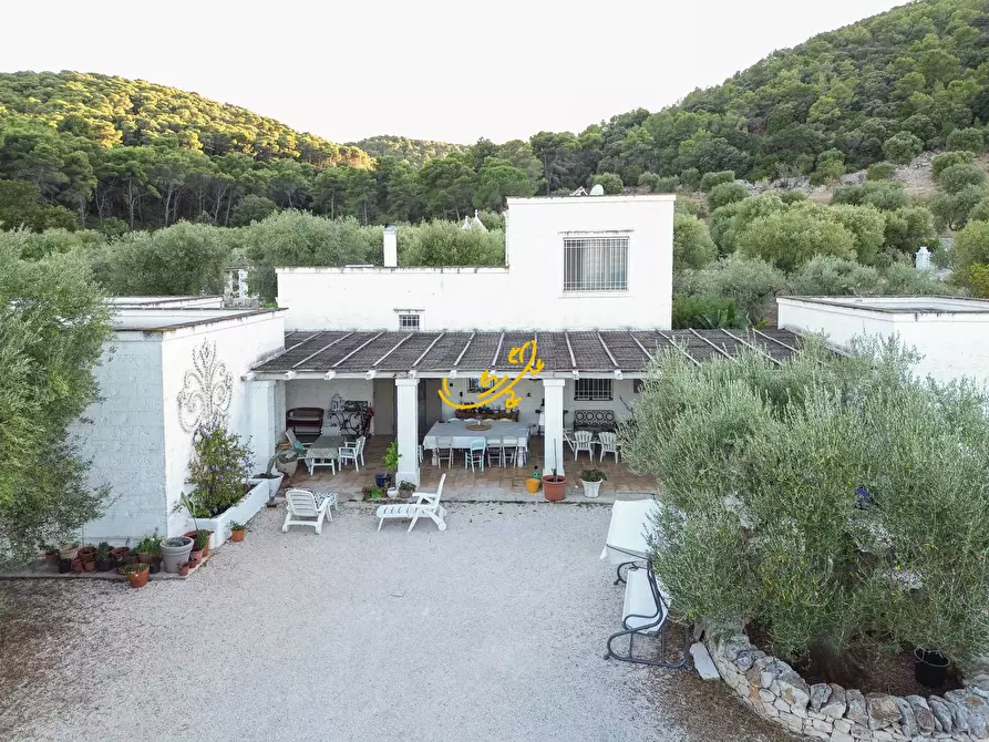 Immagine 29 di Rustico / casale in vendita  in Contrada Monte Pizzuto a Fasano