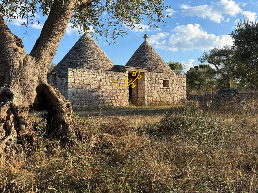 Immagine 4 di Baita in vendita  in Contrada Monte del sale a Alberobello