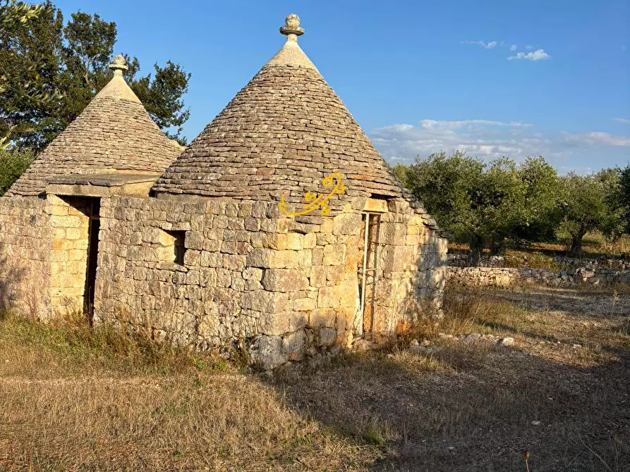 Immagine 6 di Baita in vendita  in Contrada Monte del sale a Alberobello