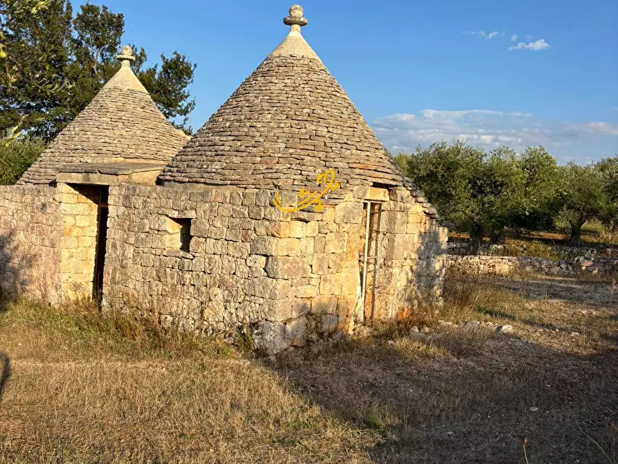 Immagine 8 di Baita in vendita  in Contrada Monte del sale a Alberobello