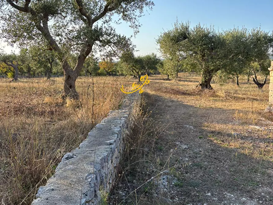 Immagine 9 di Baita in vendita  in Contrada Monte del sale a Alberobello