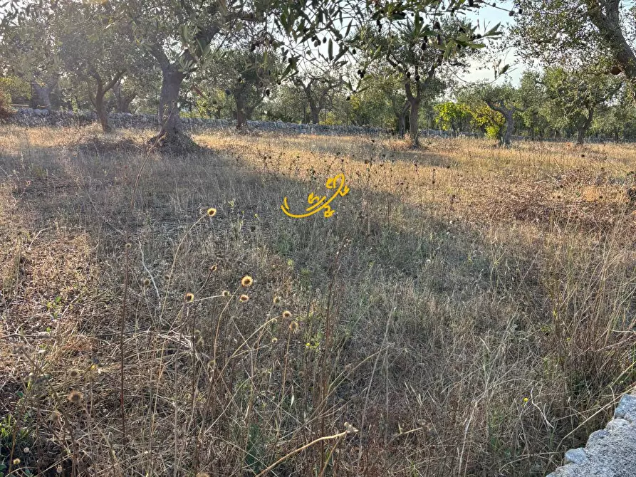Immagine 11 di Baita in vendita  in Contrada Monte del sale a Alberobello