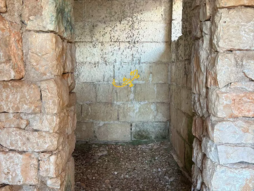 Immagine 13 di Baita in vendita  in Contrada Monte del sale a Alberobello