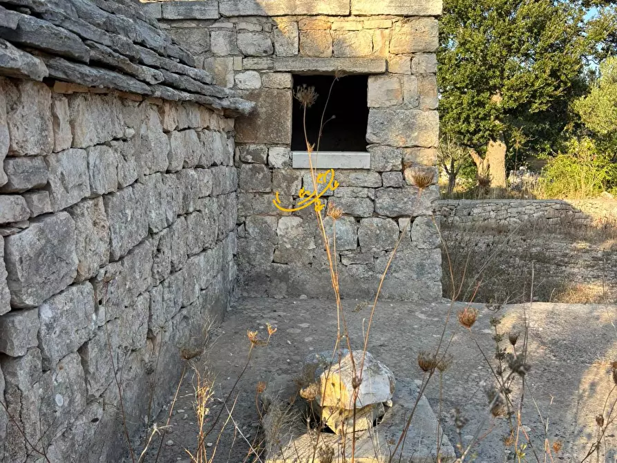Immagine 16 di Baita in vendita  in Contrada Monte del sale a Alberobello