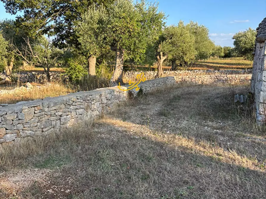 Immagine 19 di Baita in vendita  in Contrada Monte del sale a Alberobello
