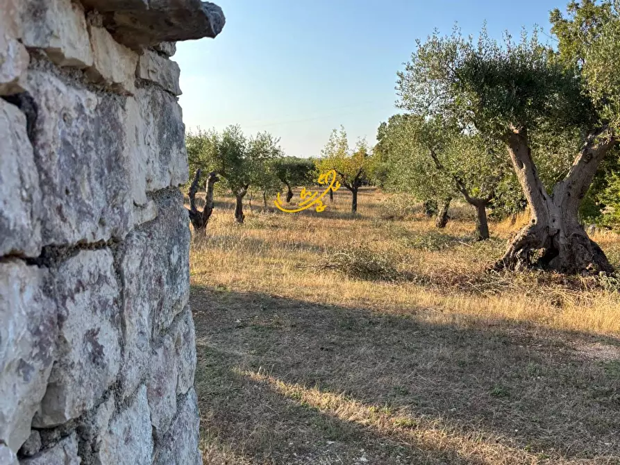 Immagine 22 di Baita in vendita  in Contrada Monte del sale a Alberobello