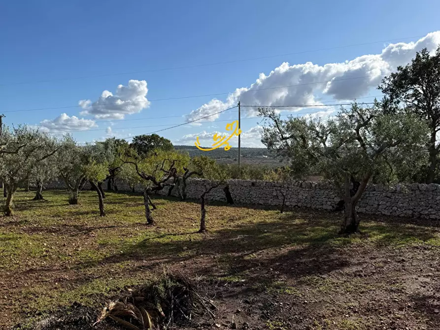 Immagine 8 di Rustico / casale in vendita  in Strada Comunale Genna a Castellana Grotte