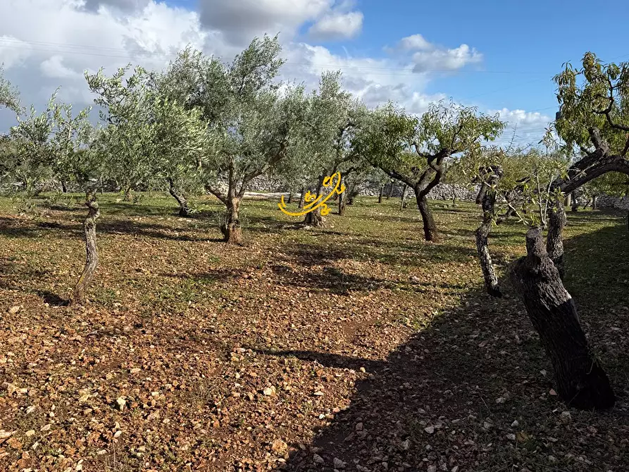 Immagine 10 di Rustico / casale in vendita  in Strada Comunale Genna a Castellana Grotte