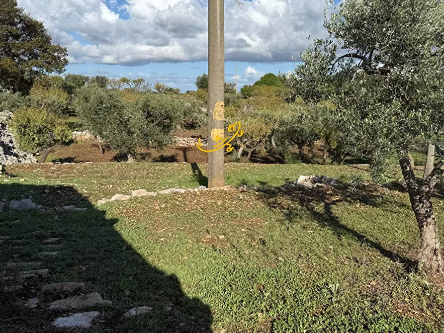 Immagine 16 di Rustico / casale in vendita  in Strada Comunale Genna a Castellana Grotte