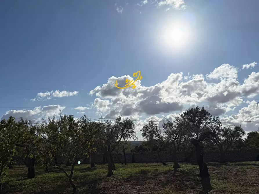 Immagine 19 di Rustico / casale in vendita  in Strada Comunale Genna a Castellana Grotte