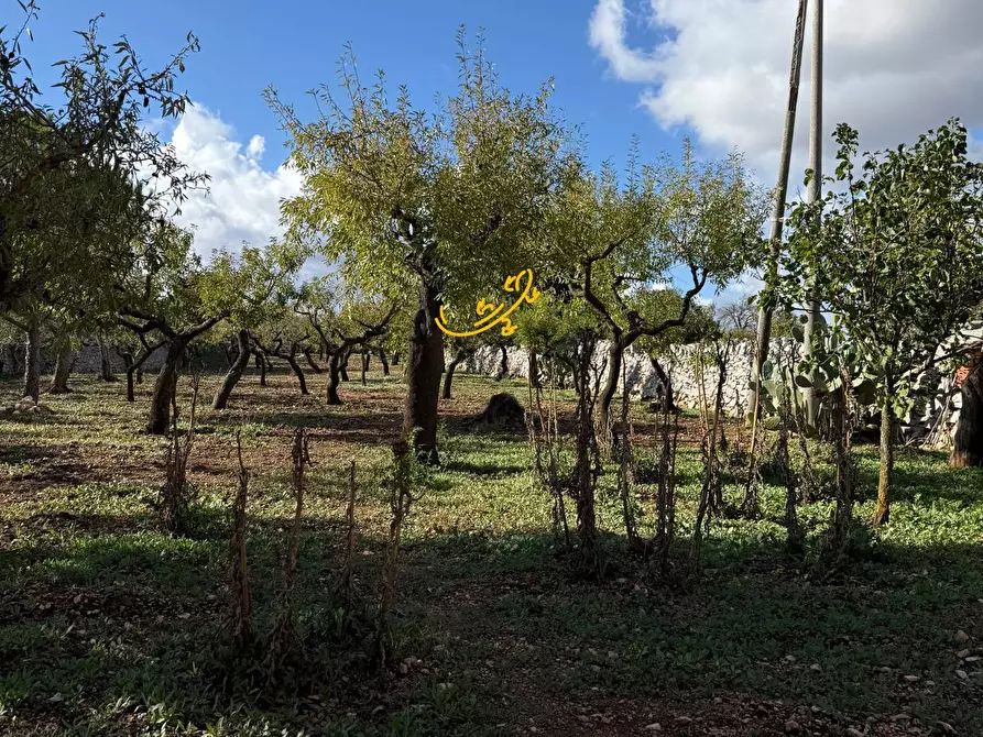 Immagine 20 di Rustico / casale in vendita  in Strada Comunale Genna a Castellana Grotte